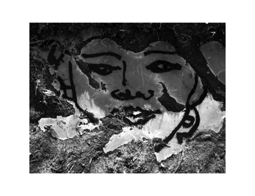 Projekt von Diana Kahn