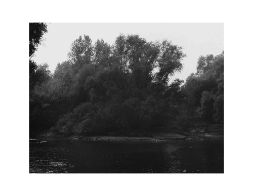 Projekt von Diana Kahn