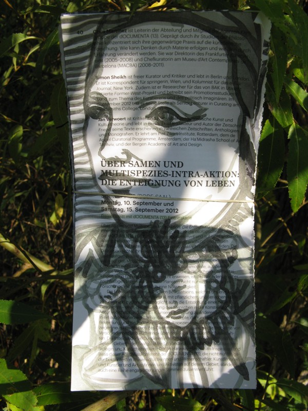 Projekt von Diana Kahn