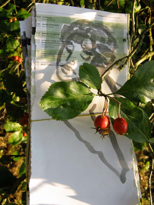 Projekt von Diana Kahn