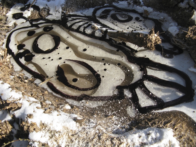 Projekt von Diana Kahn