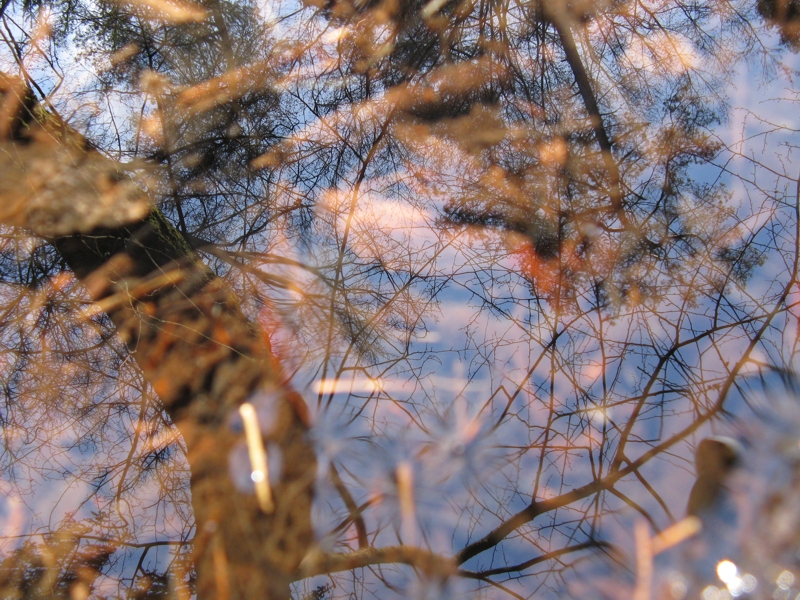 Projekt von Diana Kahn