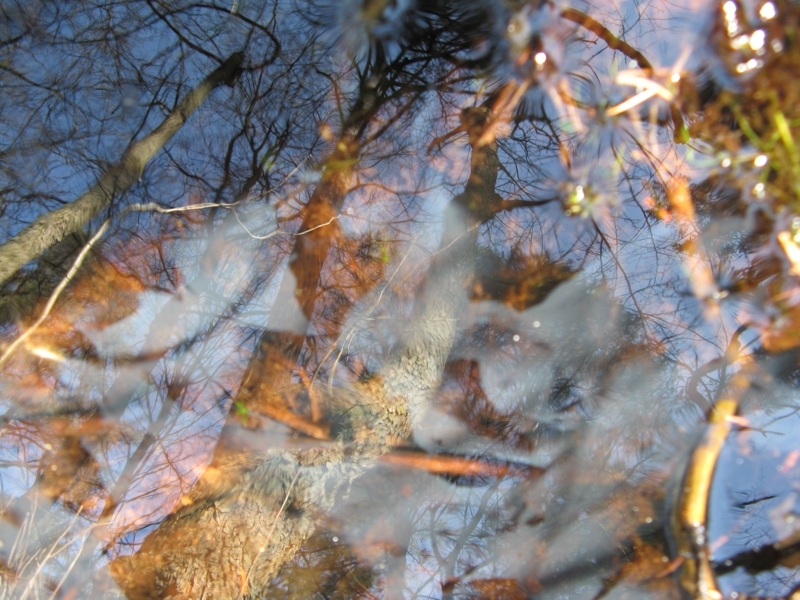 Projekt von Diana Kahn