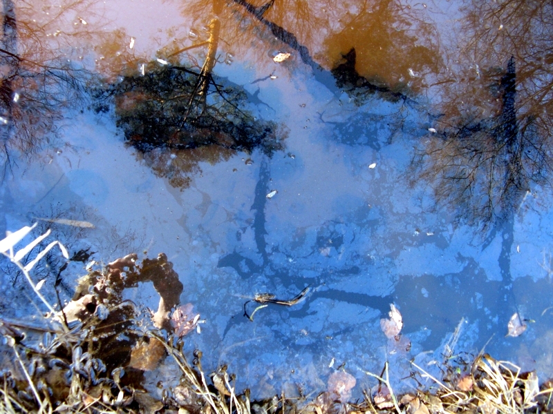 Projekt von Diana Kahn