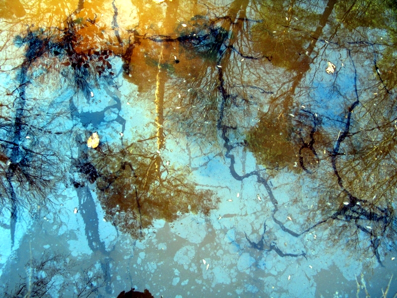 Projekt von Diana Kahn