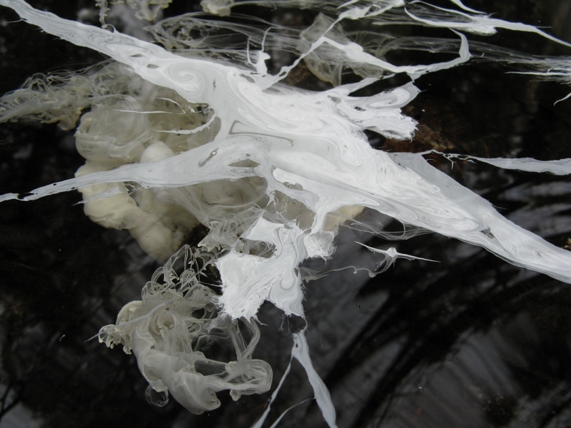 Projekt von Diana Kahn