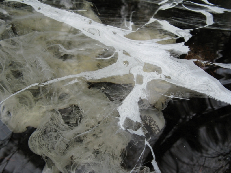 Projekt von Diana Kahn