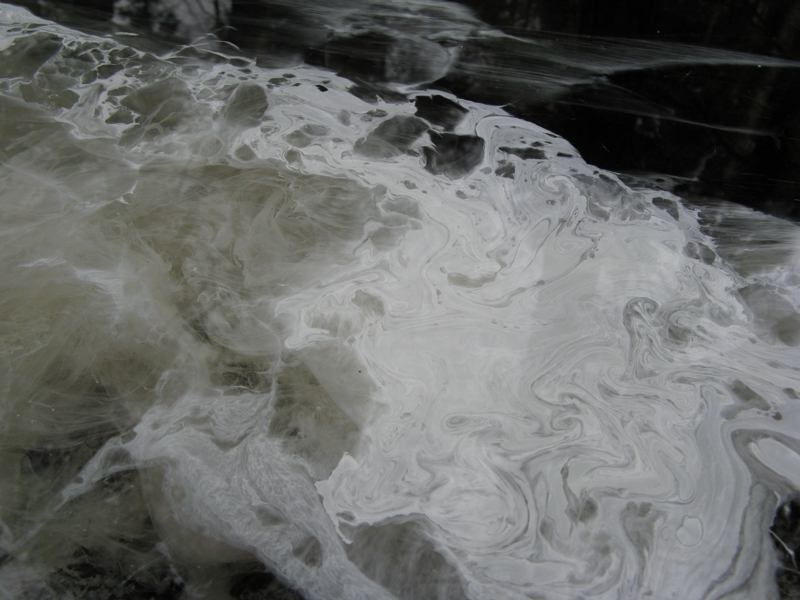 Projekt von Diana Kahn