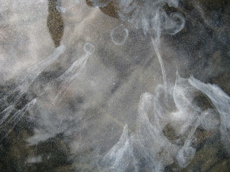 Projekt von Diana Kahn