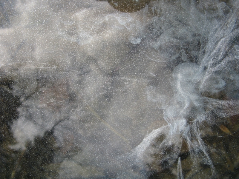 Projekt von Diana Kahn