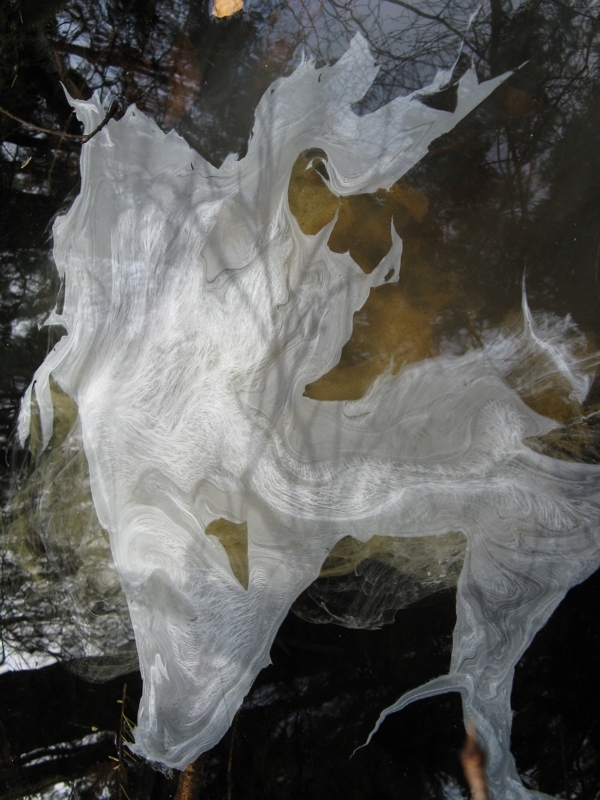 Projekt von Diana Kahn