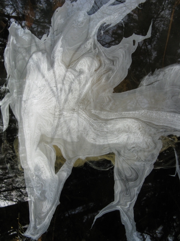 Projekt von Diana Kahn