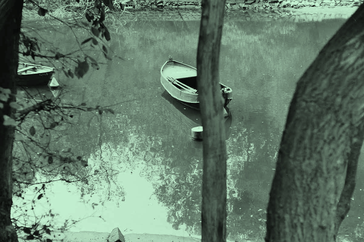 Projekt von Diana Kahn