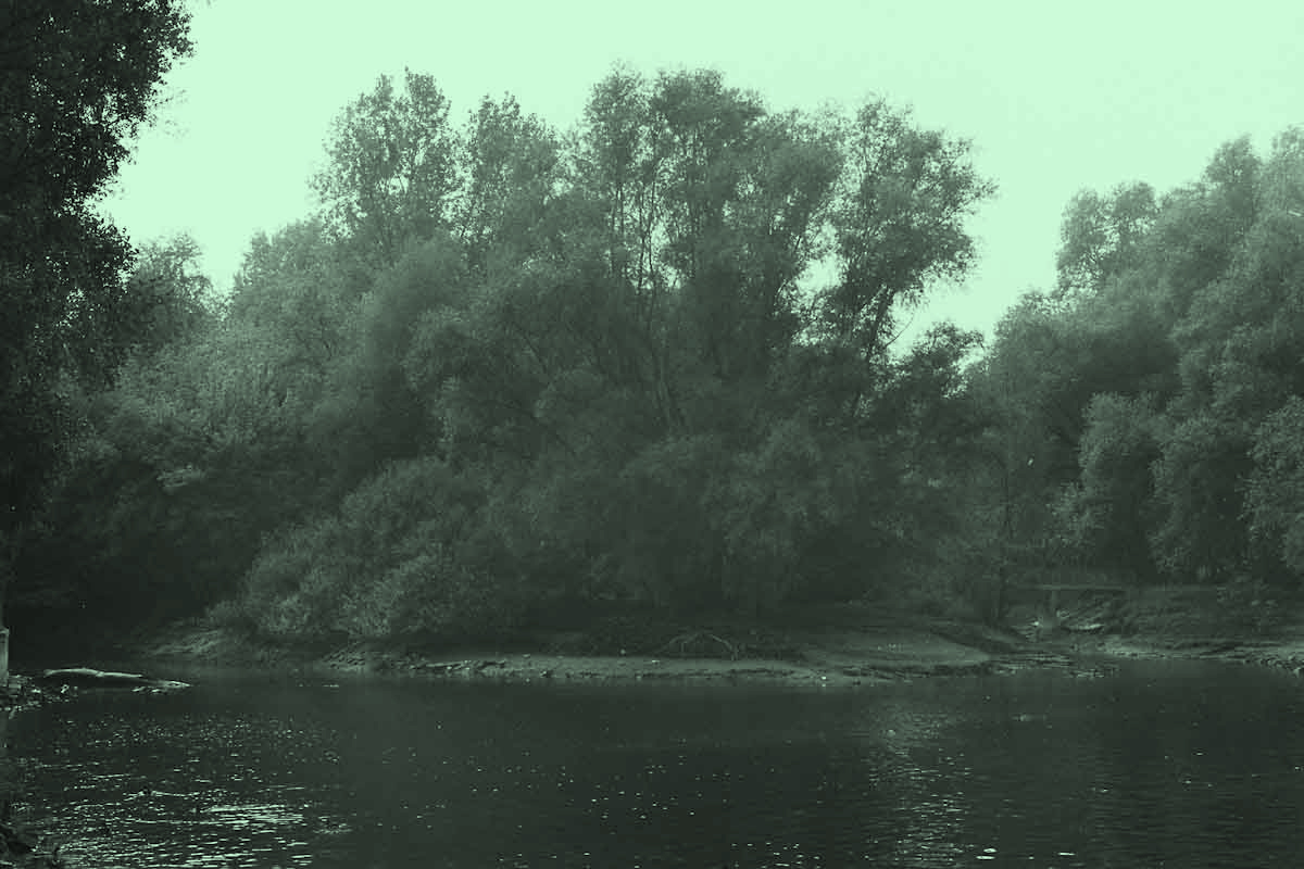 Projekt von Diana Kahn