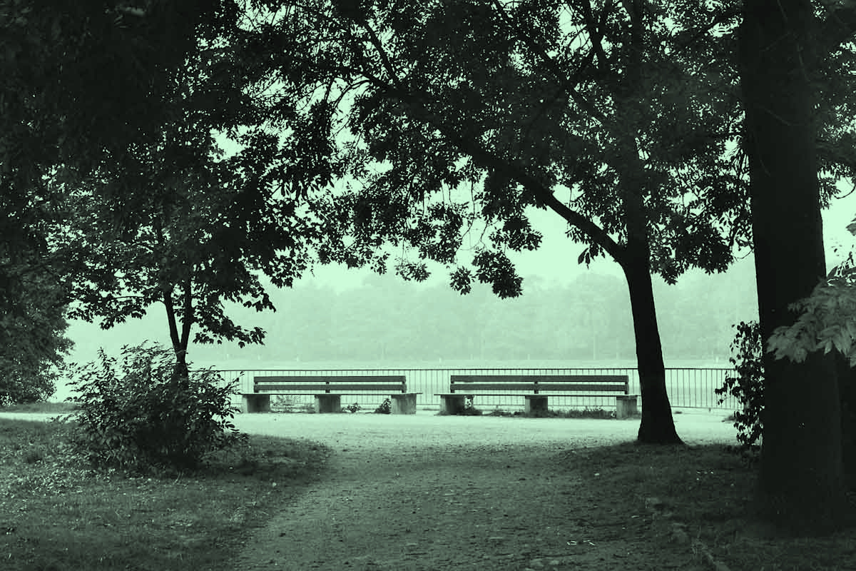 Projekt von Diana Kahn