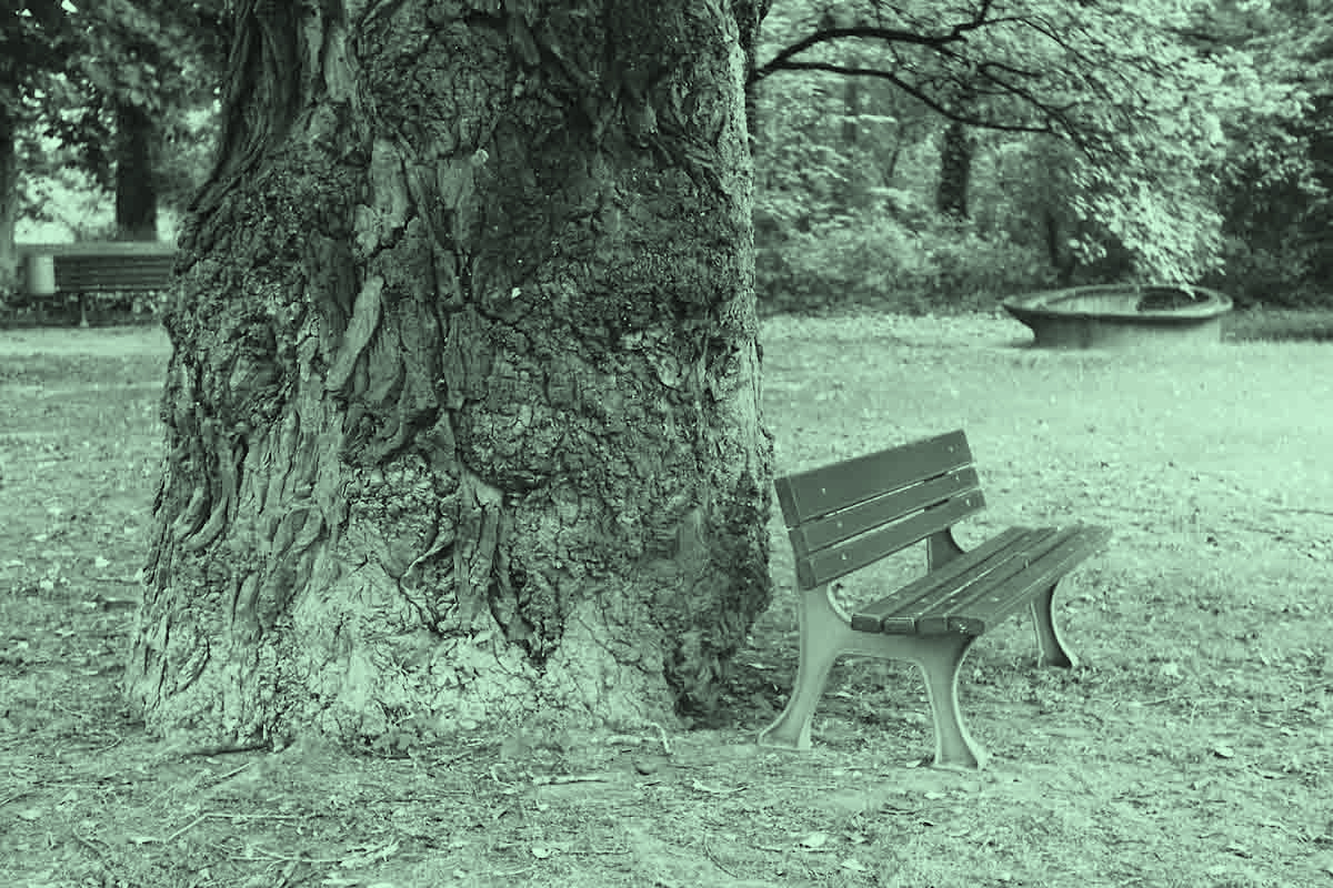 Projekt von Diana Kahn