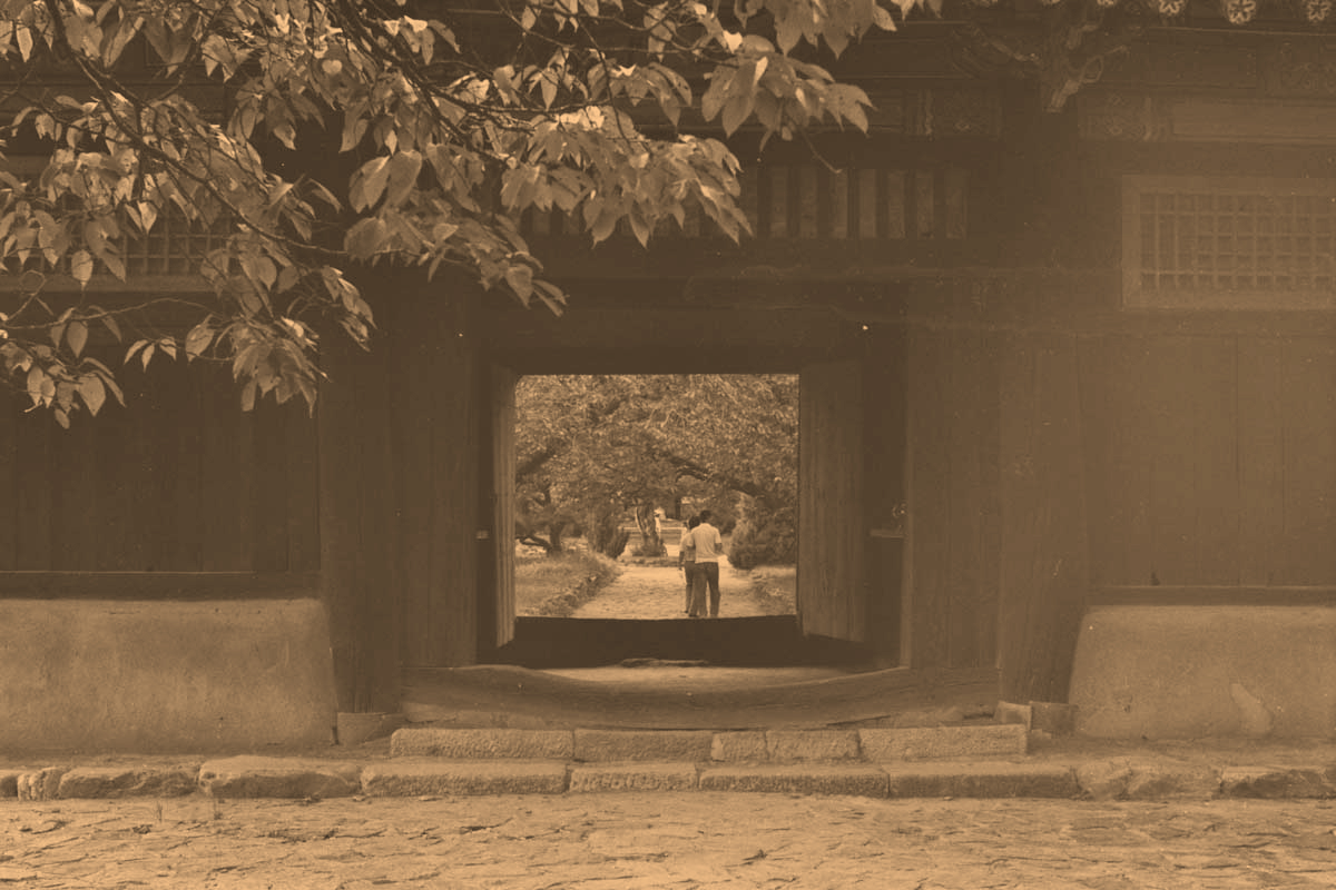 Projekt von Diana Kahn