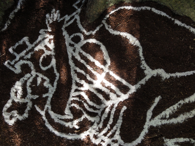 Projekt von Diana Kahn