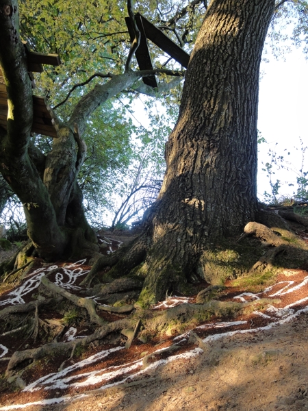 Projekt von Diana Kahn