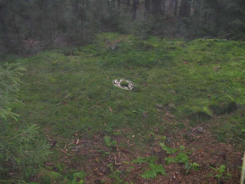 Projekt von Diana Kahn