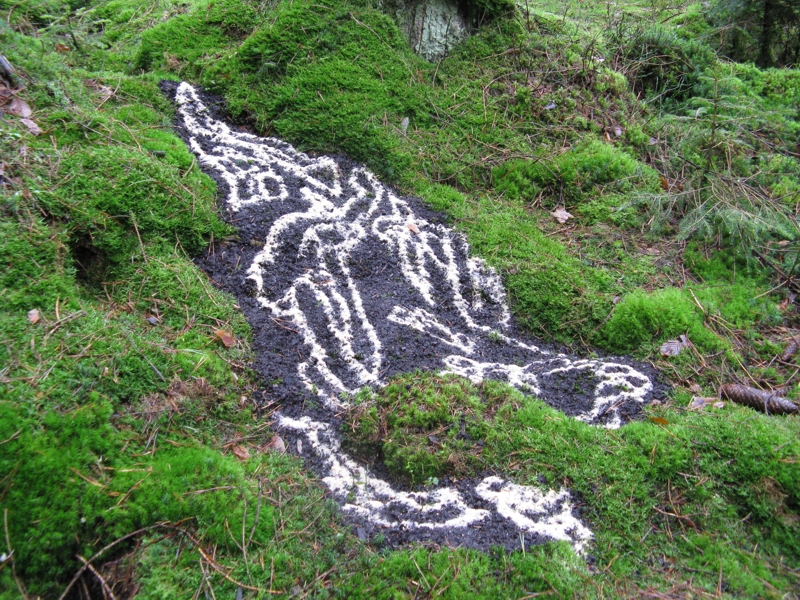 Projekt von Diana Kahn