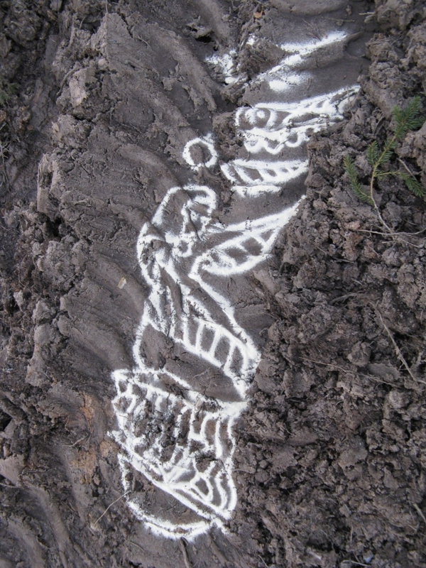 Projekt von Diana Kahn