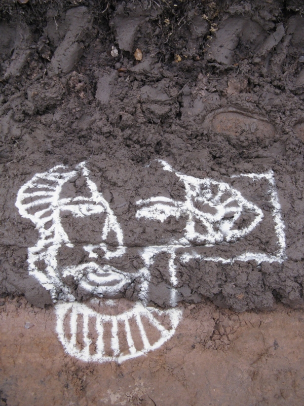 Projekt von Diana Kahn