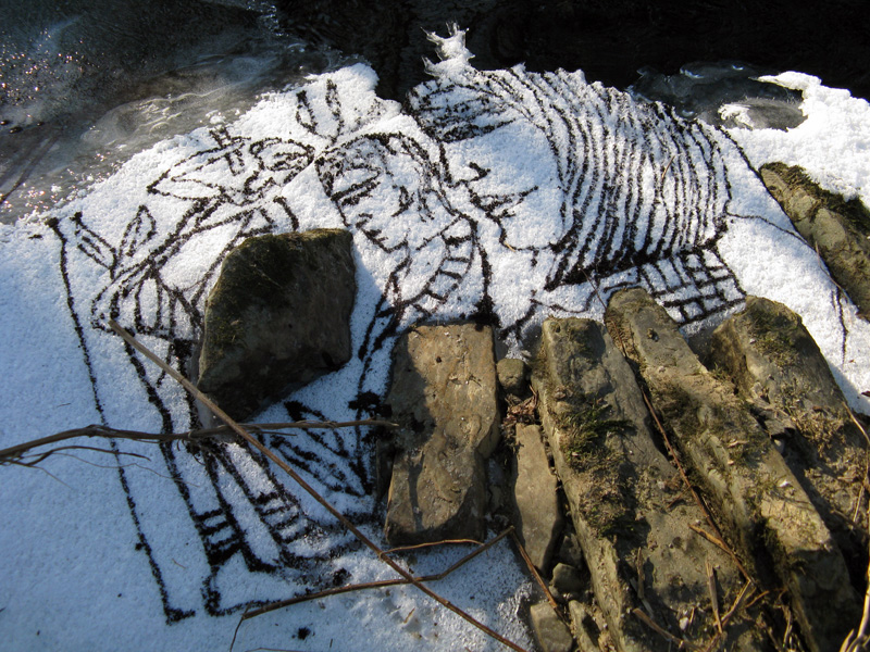 Projekt von Diana Kahn