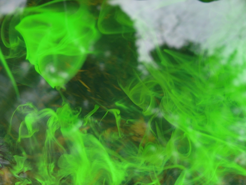 Projekt von Diana Kahn