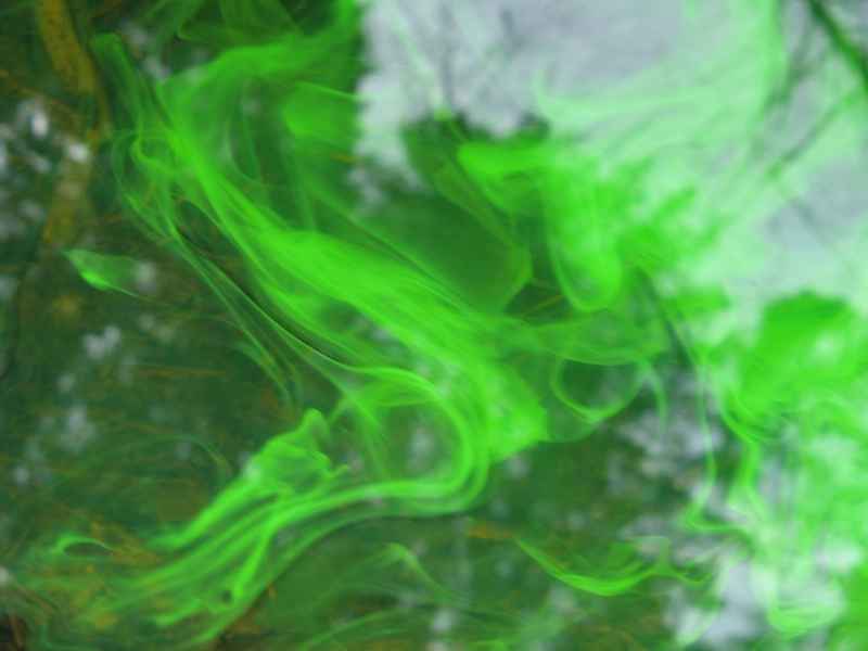 Projekt von Diana Kahn