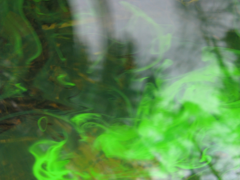 Projekt von Diana Kahn