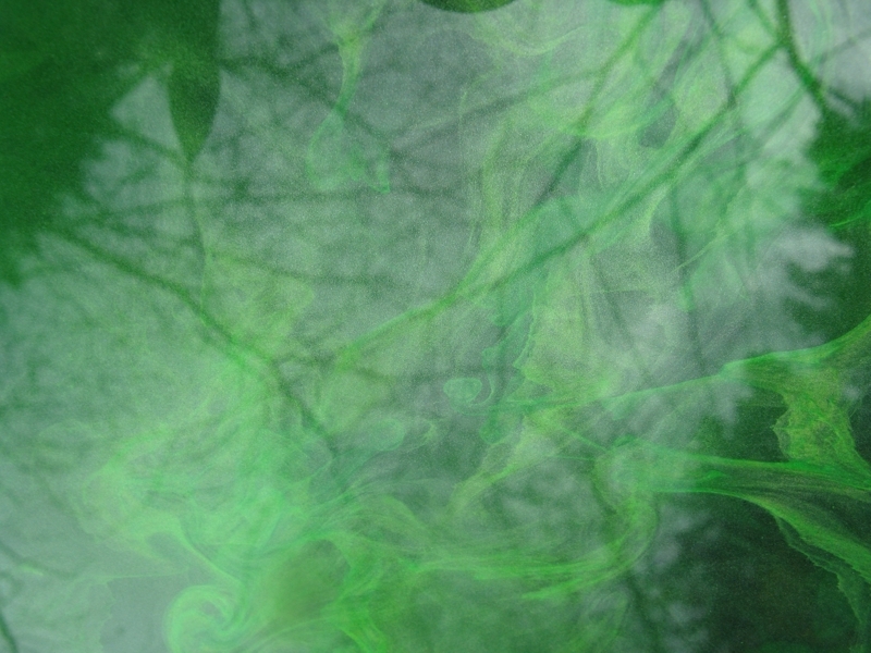 Projekt von Diana Kahn