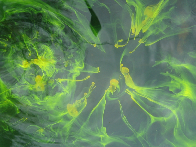 Projekt von Diana Kahn