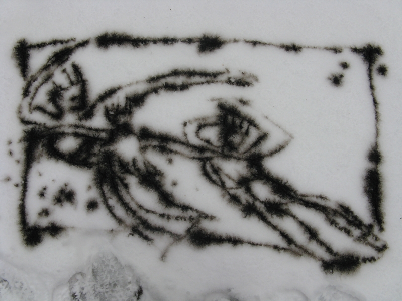 Projekt von Diana Kahn