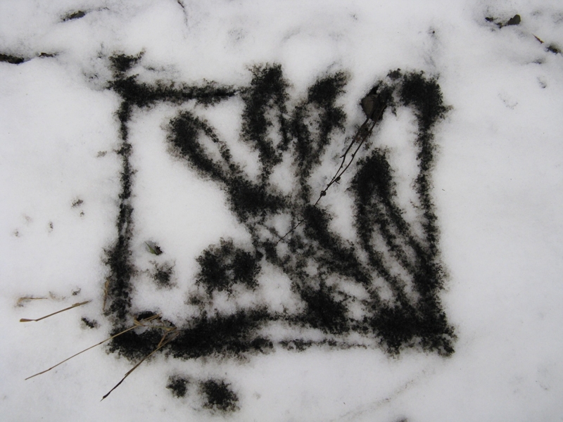 Projekt von Diana Kahn